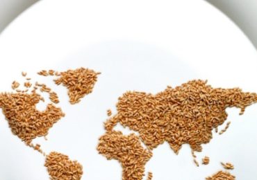 faim-malnutrition-monde