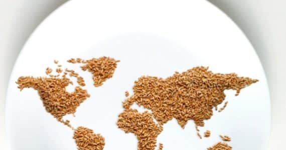 faim-malnutrition-monde