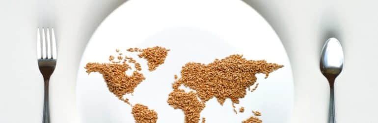 faim-malnutrition-monde