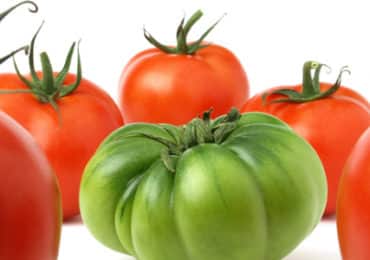 reduire-inegalites-sante-lutter-contre-obesite