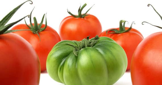 reduire-inegalites-sante-lutter-contre-obesite