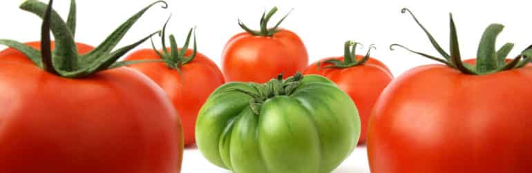 reduire-inegalites-sante-lutter-contre-obesite