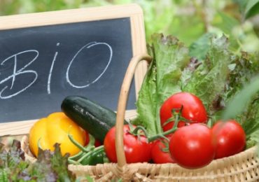 bio-cultive-difference