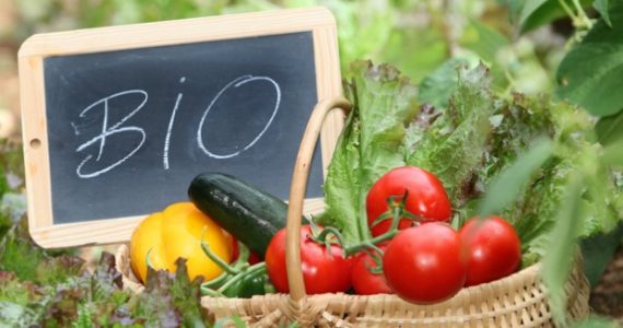 bio-cultive-difference