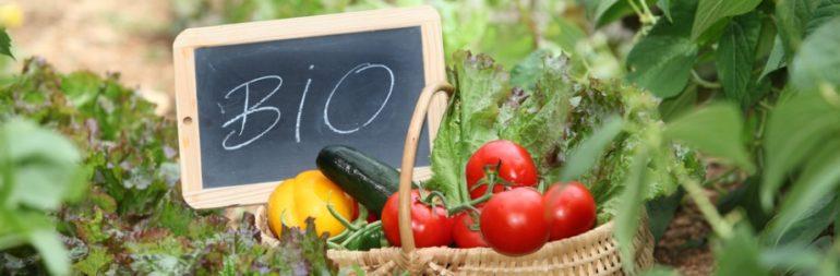 bio-cultive-difference