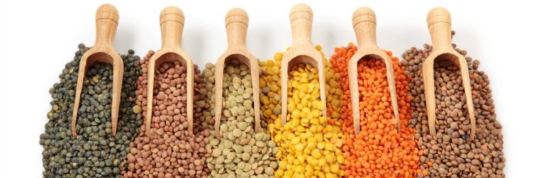 fibres-alimentaires-previendraient-asthme