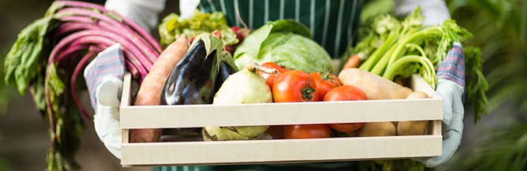 meilleurs-choix-alimentaires-climat-santé