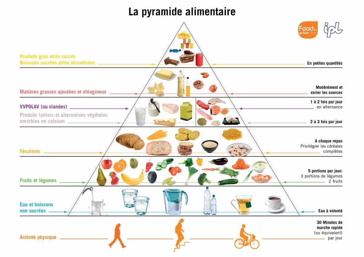 Resultado de imagen de la pyramide alimentaire drôle en français