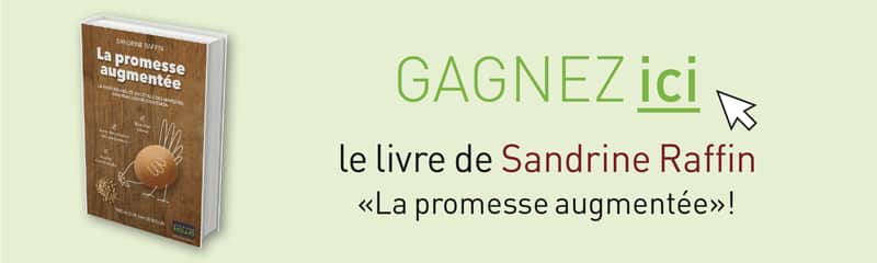 sandrine-raffin-promesse-augmentee