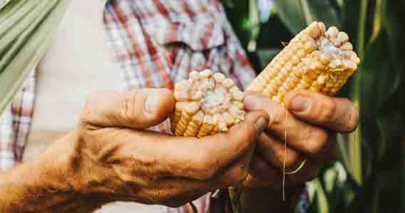 alimentation-durabilite-matieres-premières