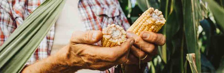 alimentation-durabilite-matieres-premières