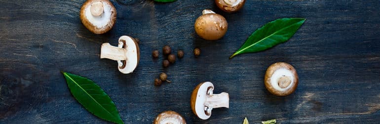 beste-bereidingswijze-paddenstoelen