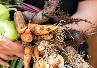 groenten-fruit-kweken-eetgewoonten