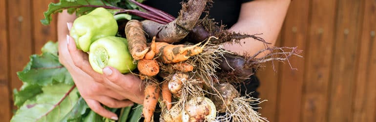 jardiner-habitudes-alimentaires