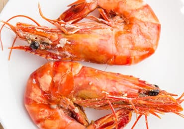 voedsel-allergieën-cijfers