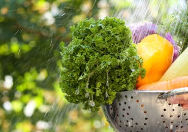 ete-vigilance-alimentaires-prevention