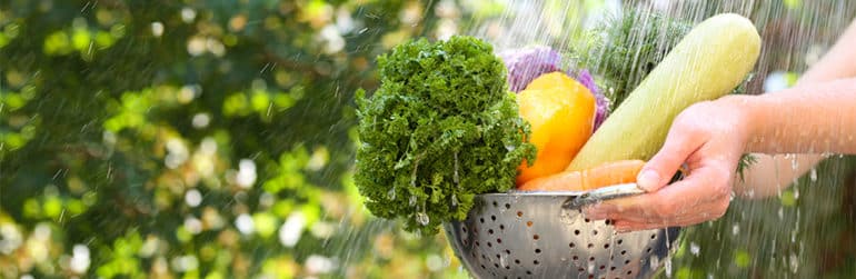 ete-vigilance-alimentaires-prevention