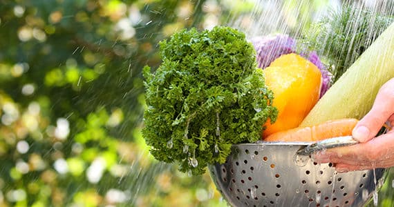 zomer-voedselvergiftigingen-preventie