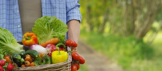 consommateur-belge-dépense-produits bios