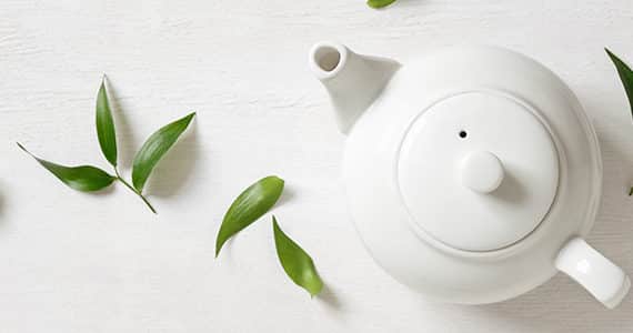 efsa-alcaloides-pyrrolizidiniques-the