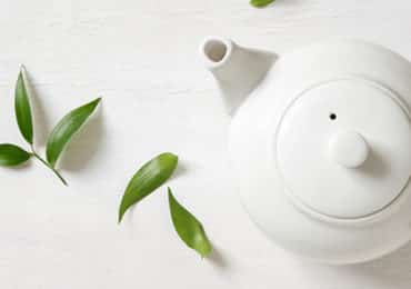 efsa-pyrrolizidine alkaloïde-thee