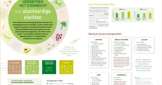 evenwicht-plantaardige-eiwitten