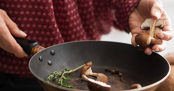 champignons-intoxications-cueillette