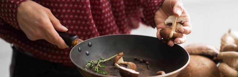 champignons-intoxications-cueillette