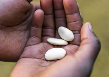 climat-conflits-affament-monde