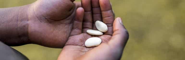 climat-conflits-affament-monde