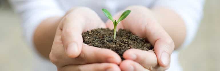 emballage-plastique-biodegradable