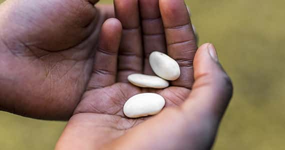 honger-klimaatverandering-conflicten