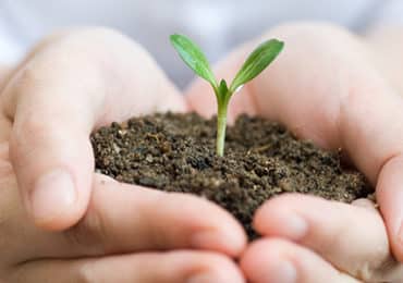 verpakking-plastic-bioafbreekbaar