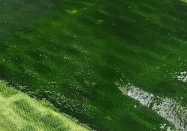 nourrir-farine-microalgues_v1_28-12