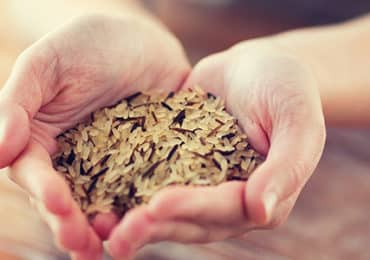 cereales-raffine-complet-maigrir