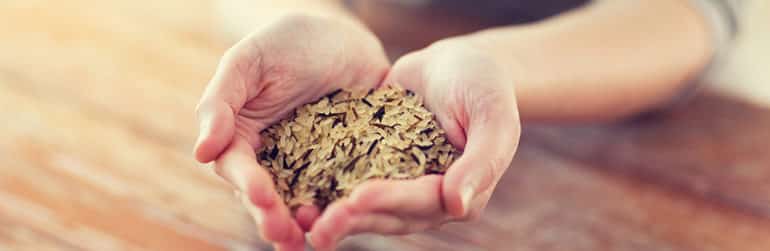 cereales-raffine-complet-maigrir