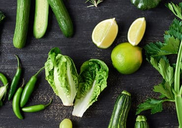 vegetaux-feuilles-vertes-cerveau