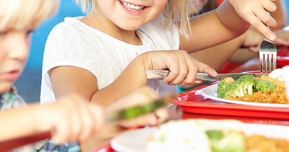 cantines-scolaires-plat-protidique