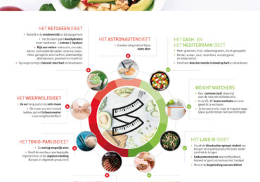 nutrigraphics-trendy-dieten