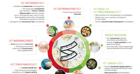 nutrigraphics-trendy-dieten
