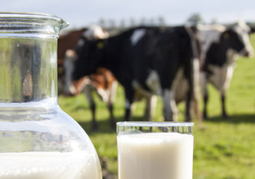plus-durabilite-secteur-laitier