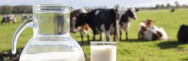 plus-durabilite-secteur-laitier