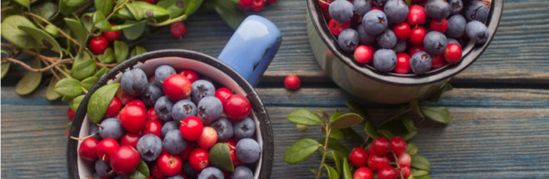 composants-baies-utiles-contre-cancer