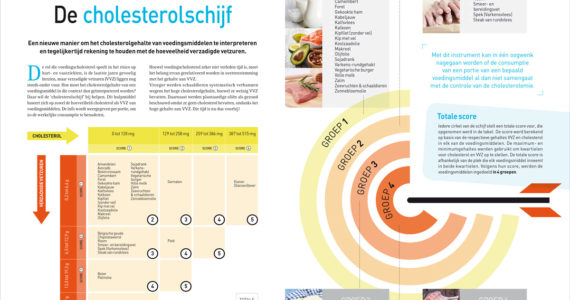nutrigraphics-cholesterolschijf