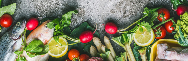 modele-glucides-insuline-obesite