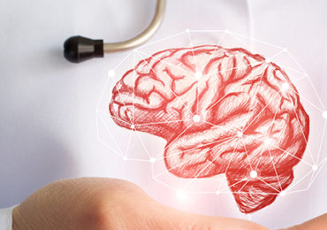 cerveau-regime-cortex prefrontal
