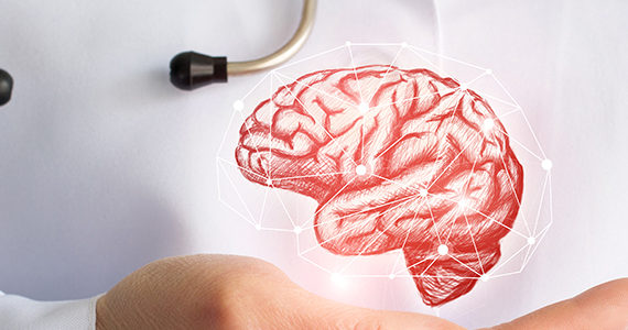 cerveau-regime-cortex prefrontal