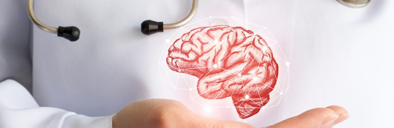 cerveau-regime-cortex prefrontal
