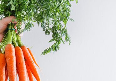 impact-production-alimentaire-environnement