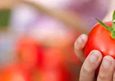 mediterraan-dieet-zoeken-kinderen